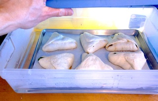 Spinach bread rising in homemade proof box